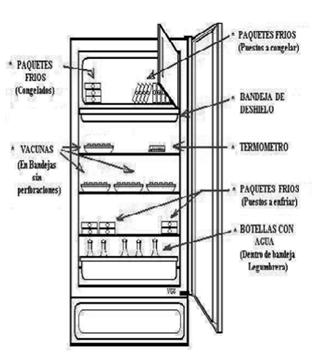 Almacenamiento en la Refrigeradora - CNC Salud